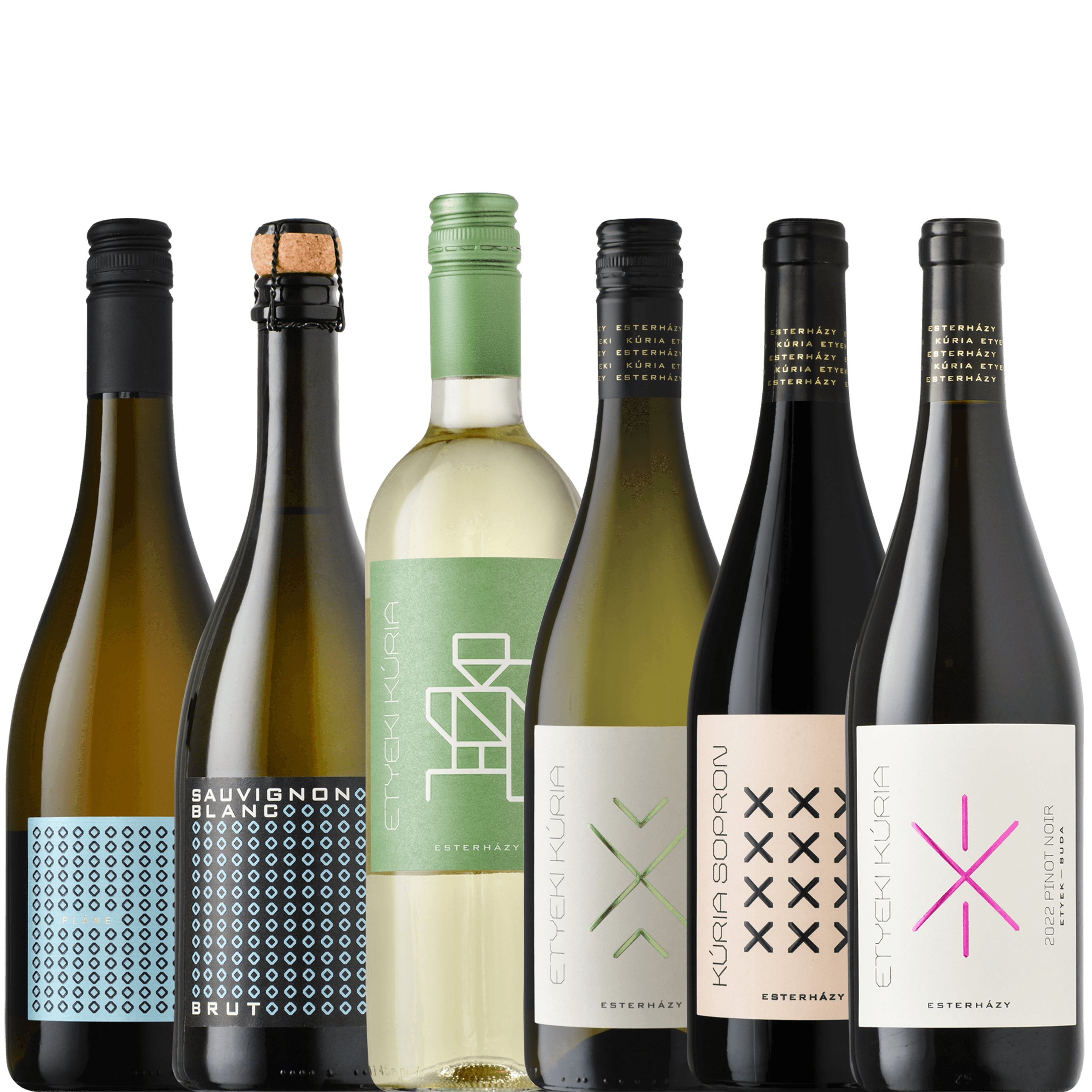 EGYEKI KÚRIA 6 Wines Together 2025