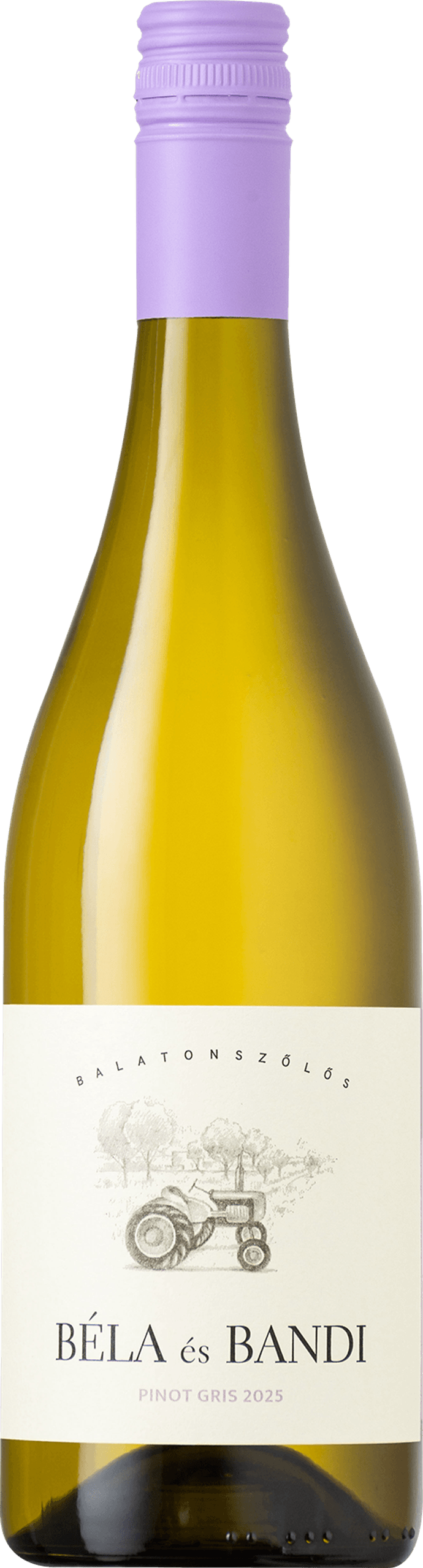 BÉLA ÉS BANDI Pinot Gris 2025