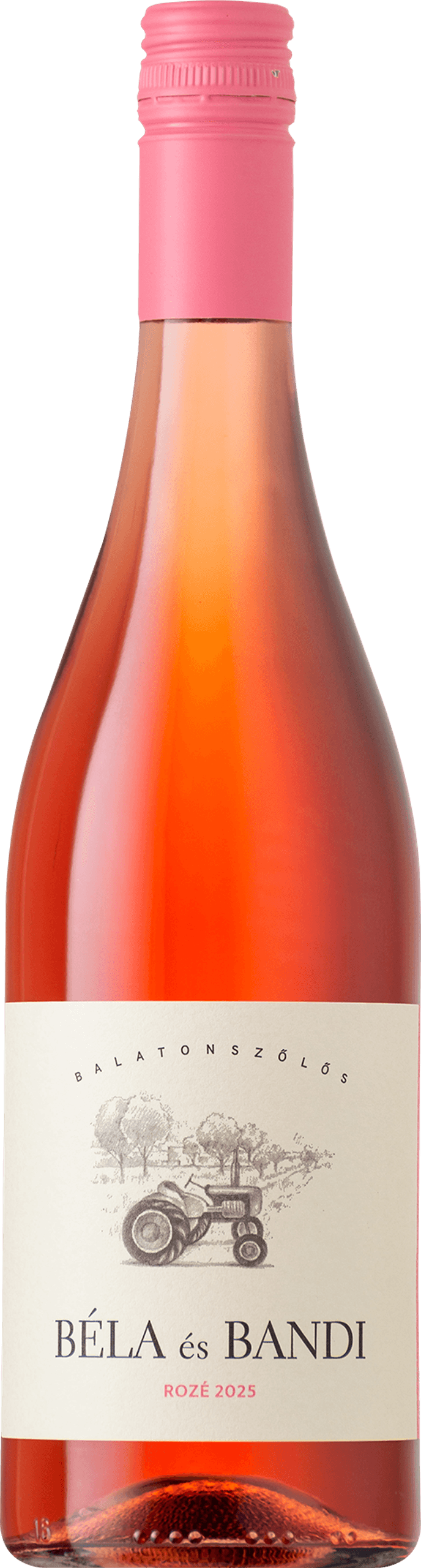 BÉLA ÉS BANDI Kékfrankos-Merlot Rozé 2025