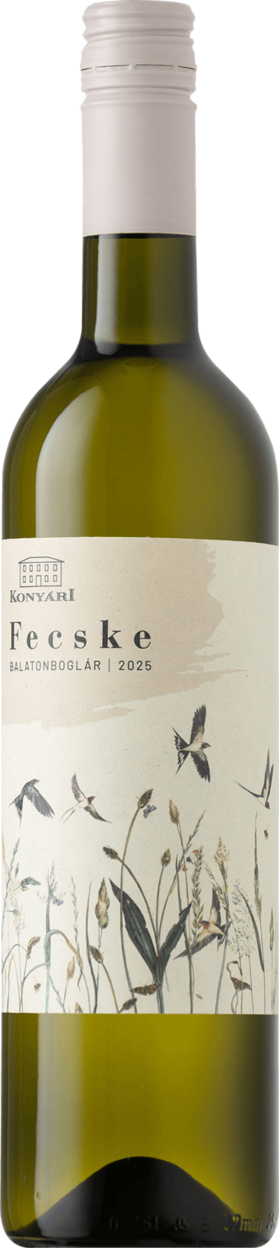 KONYÁRI Fecske Fehér 2025