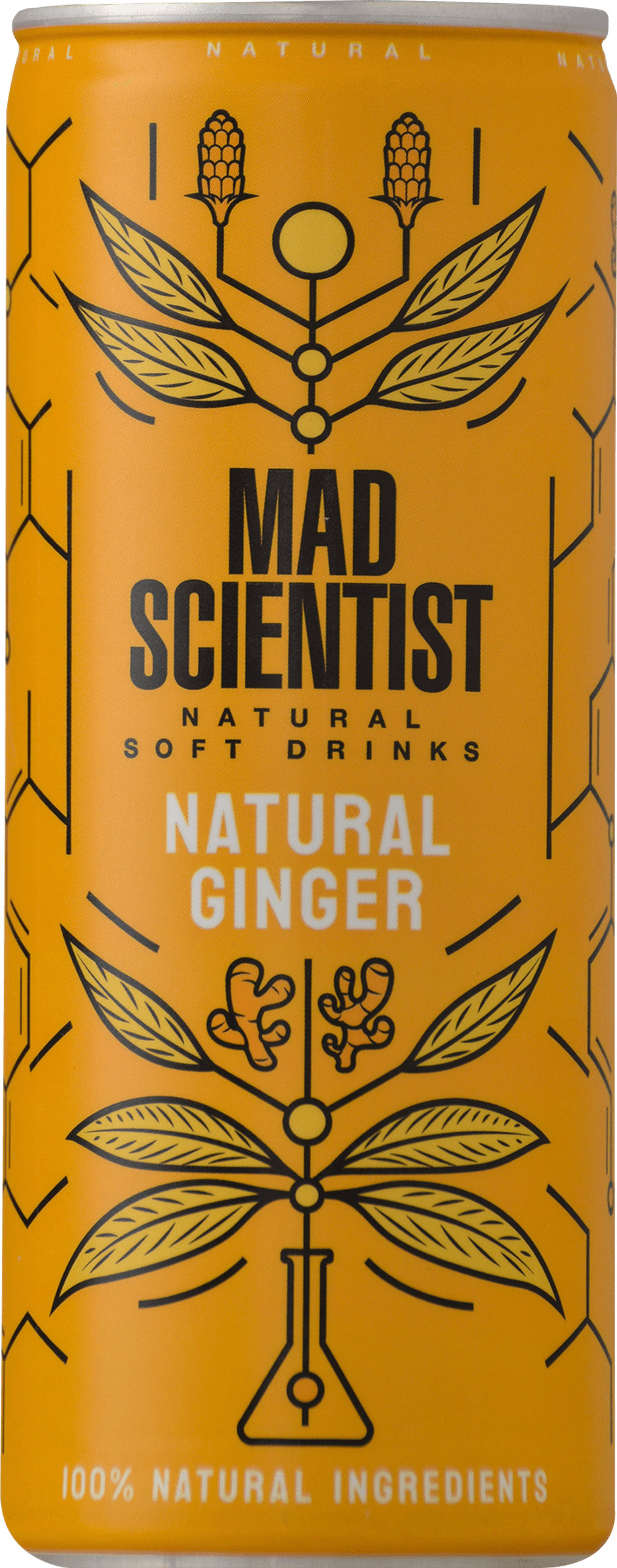 MAD SCIENTIST Natural Ginger Üdítő (0,25 l)