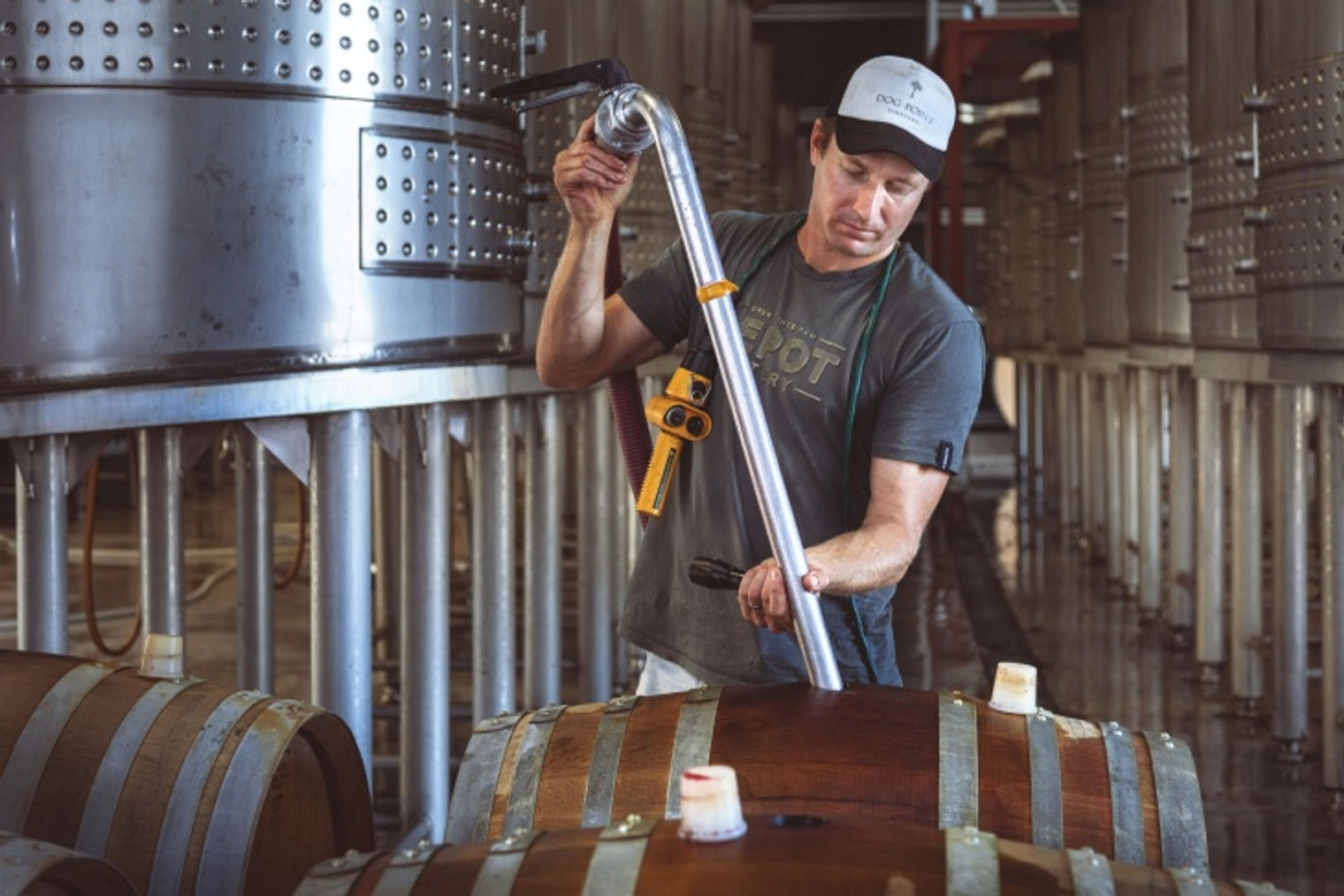 Dog Point Vineyard Dog Point Vineyard