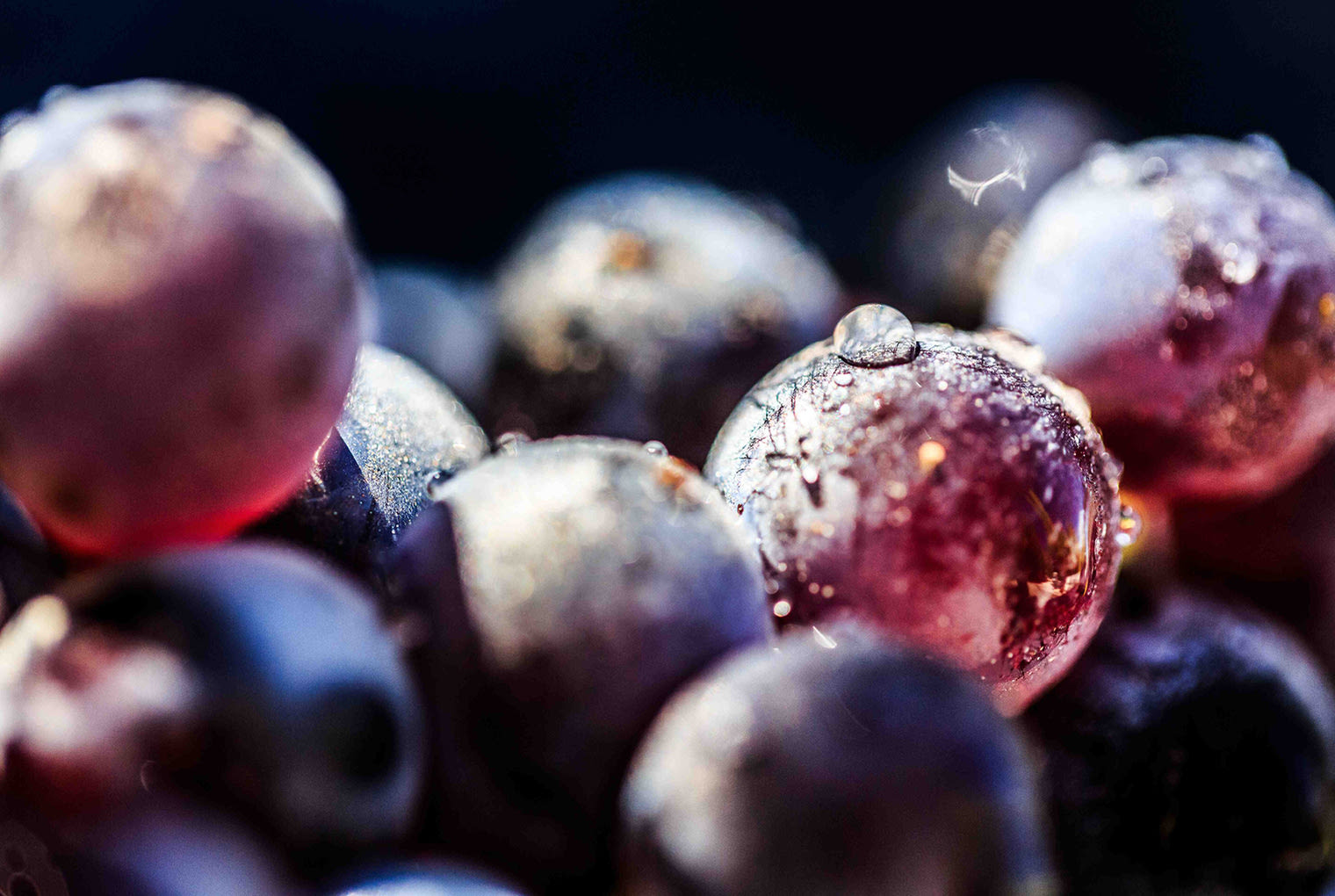 Champagne day Champagne day