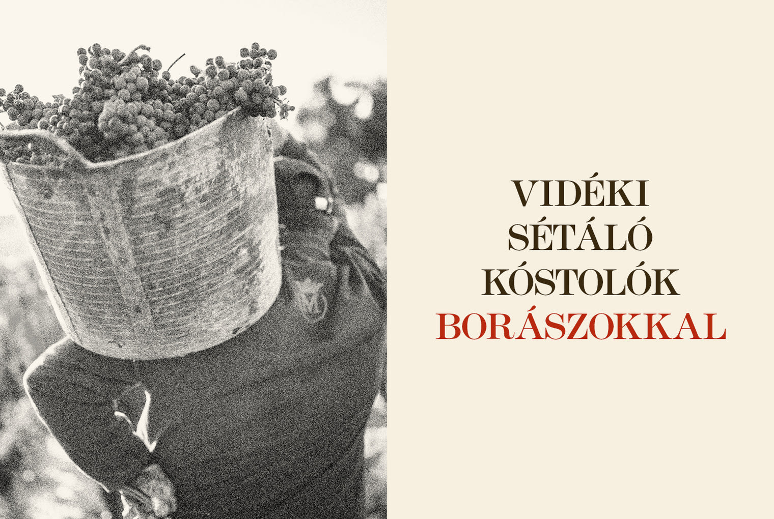 Találkozz kedvenc borászaiddal! Találkozz kedvenc borászaiddal!