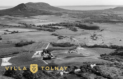 Borász a házban – Villa Tolnay